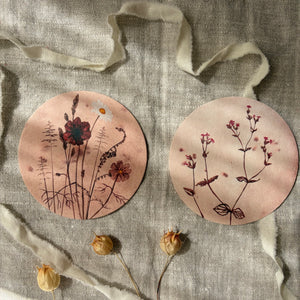 Untersetzer · Wildblumen | Cosmea