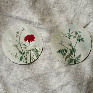 Untersetzer · Wildblumen | Wilde Möhre