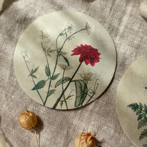 Untersetzer · Wildblumen | Wilde Möhre