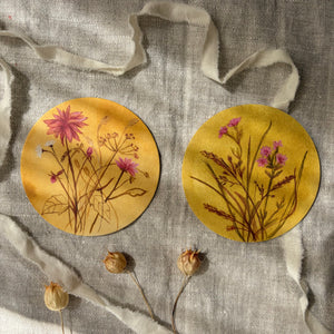 Untersetzer · Wildblumen | Dahlie | Gelb