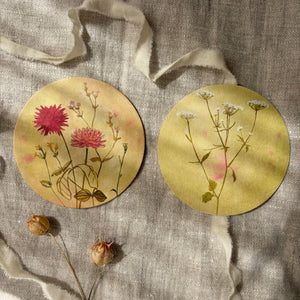 Untersetzer · Wildblumen | Dahlie | Grün