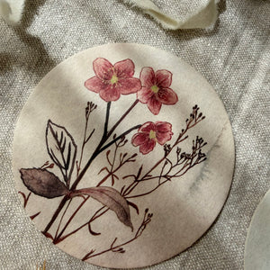 Untersetzer · Wildblumen | Christrose