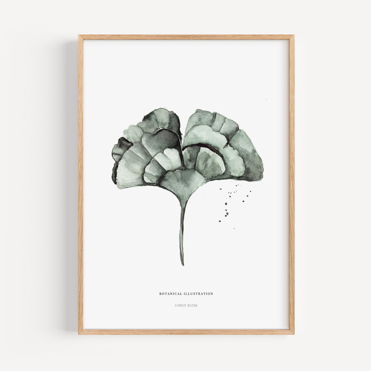 Kunstdruck - Ginkgo Leaf