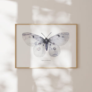 Kunstdruck - Apollo Fig 1