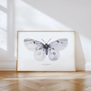 Kunstdruck - Apollo Fig 1