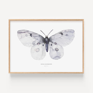 Kunstdruck - Apollo Fig 1