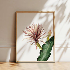 Art Print - Red Cactus Flower