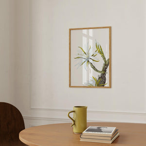 Kunstdruck - White Cactus Flower