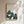 Kunstdruck - Cactus Family
