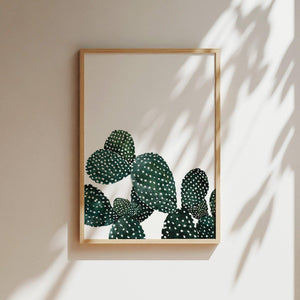 Kunstdruck - Cactus Family