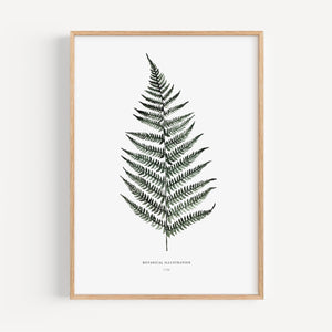 Kunstdruck - Fern