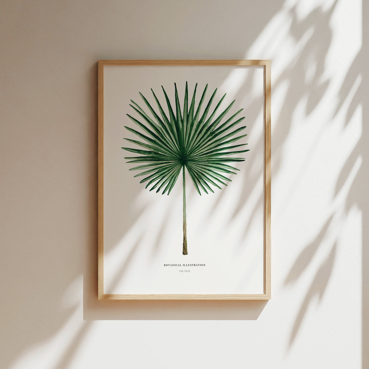 Kunstdruck - Fan Palm