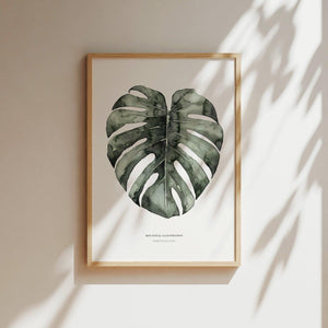 Art Print - Urban Monstera