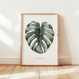 Art Print - Urban Monstera