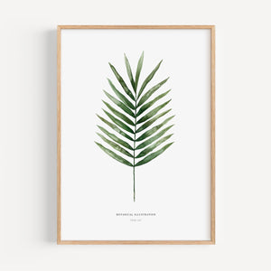 Kunstdruck - Palm Leaf