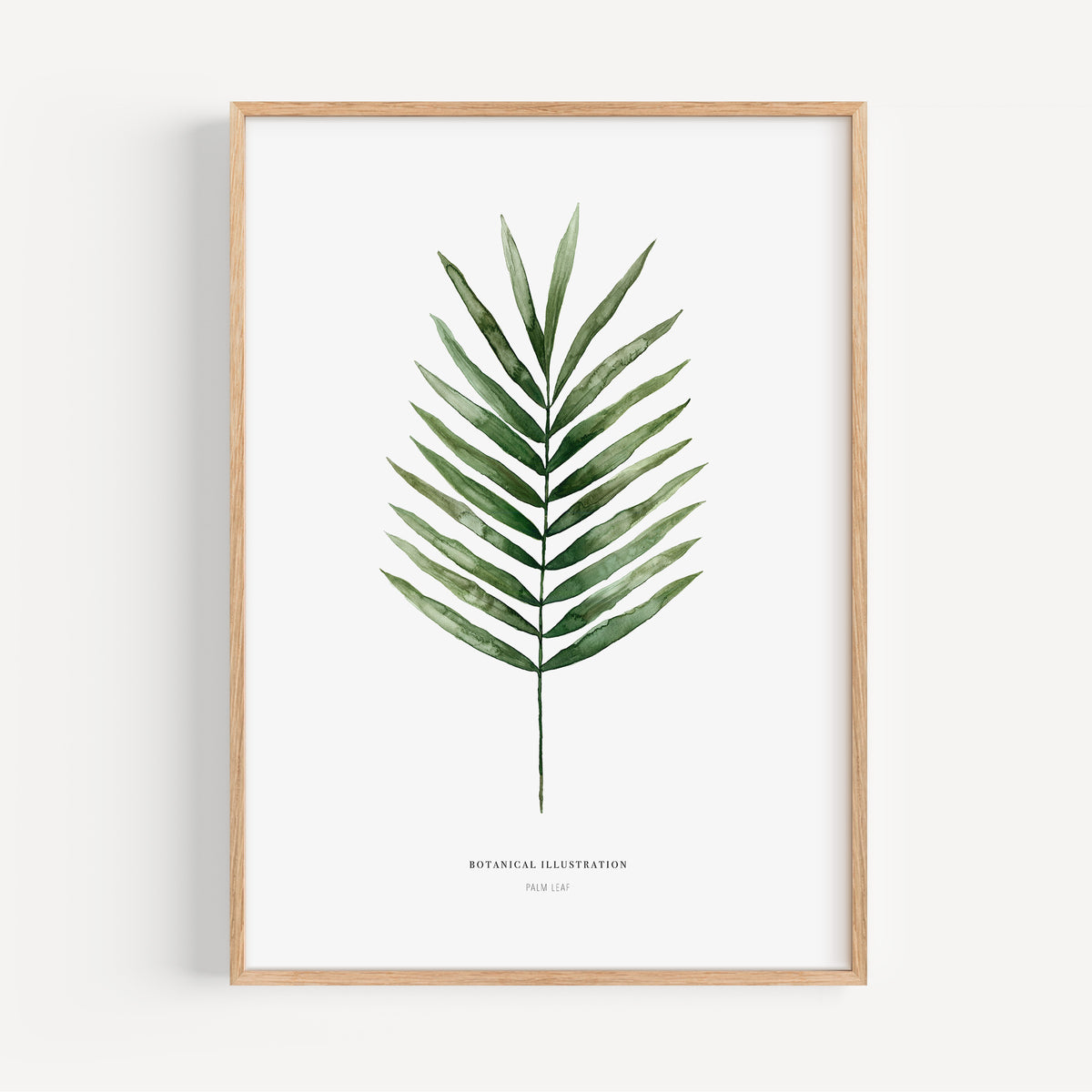 Art Print - Palm Leaf