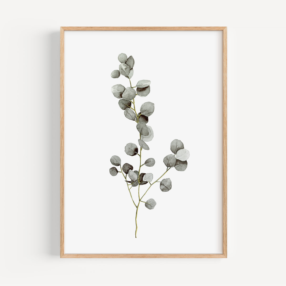 Kunstdruck - Eucalyptus
