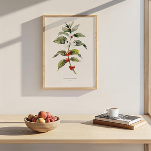 Kunstdruck - Coffea