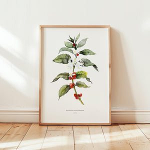 Kunstdruck - Coffea