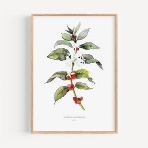Kunstdruck - Coffea