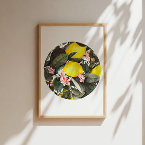 Kunstdruck - Citrus Paradise