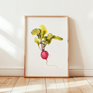 Kunstdruck - Radish