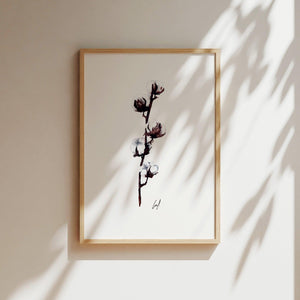 Kunstdruck - Cotton