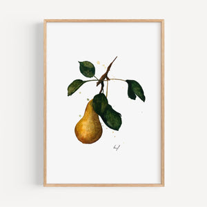 Kunstdruck - Pear