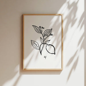 Art Print - Art Line | B/W Citrus Flower