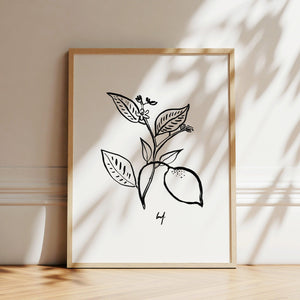 Art Print - Art Line | B/W Citrus Flower