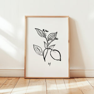 Art Print - Art Line | B/W Citrus Flower