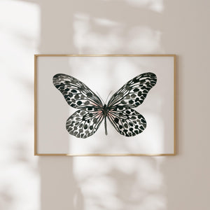 Kunstdruck - Black Butterfly