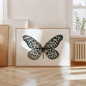 Kunstdruck - Black Butterfly