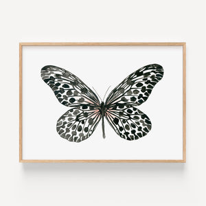 Kunstdruck - Black Butterfly
