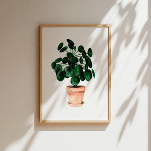 Art Print - Pilea