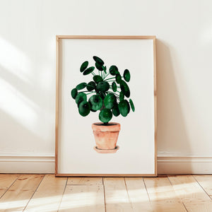 Art Print - Pilea