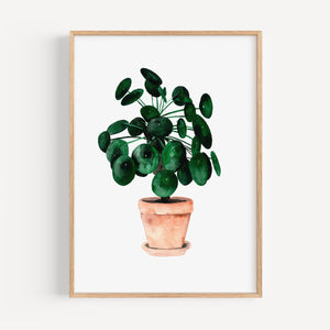 Art Print - Pilea