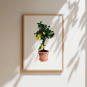 Art Print - Lemontree