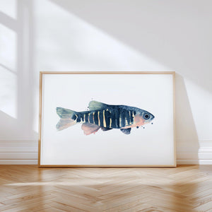 Art Print - Blue Fish