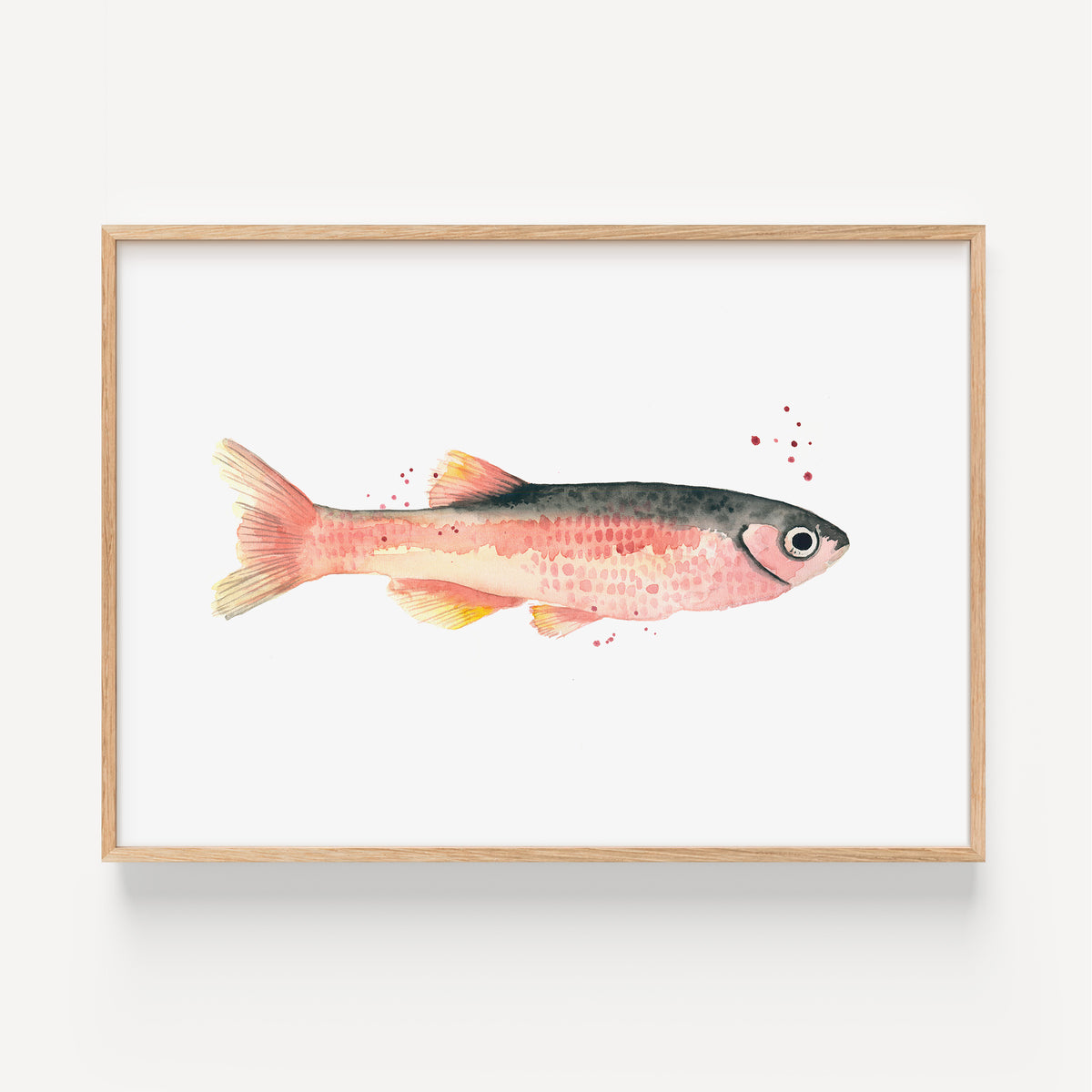 Kunstdruck - Rose Fish