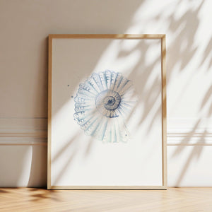 Kunstdruck - Shell No 2