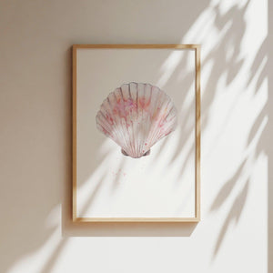 Art Print - Shell No 3
