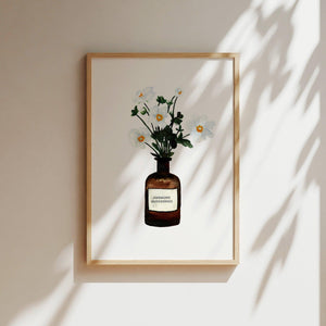 Kunstdruck - Anemone | White