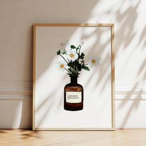 Kunstdruck - Anemone | White