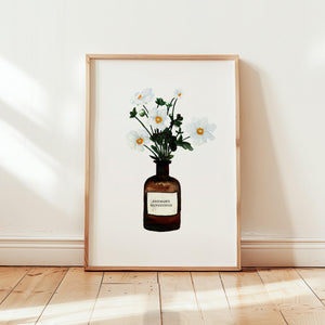 Kunstdruck - Anemone | White