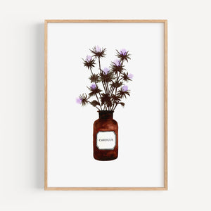 Art Print - Carduus