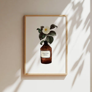 Kunstdruck - Frutex Rosa