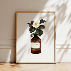 Kunstdruck - Frutex Rosa