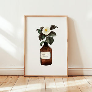 Kunstdruck - Frutex Rosa