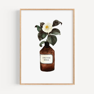 Kunstdruck - Frutex Rosa